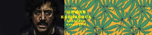 PSILOCYBIN Армянск