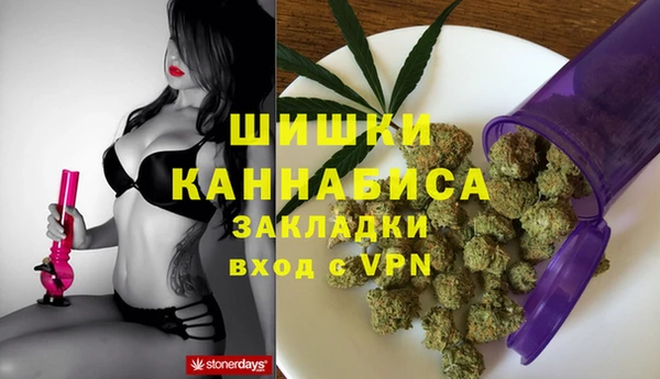 PSILOCYBIN Армянск