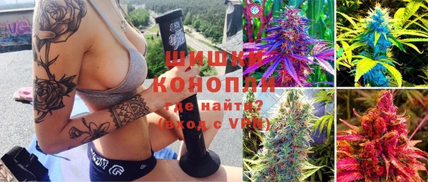 PSILOCYBIN Армянск