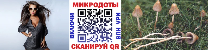 Псилоцибиновые грибы мицелий  гидра ТОР  Покачи  продажа наркотиков 